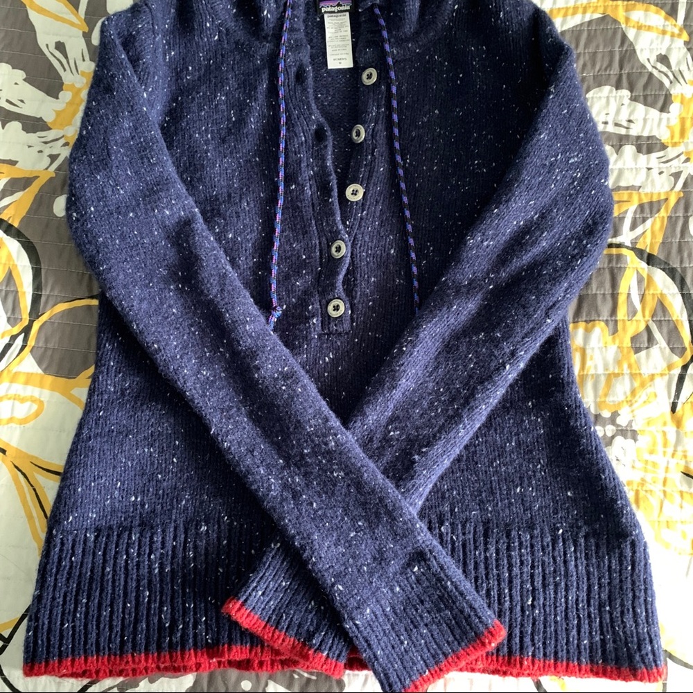 RARE Patagonia Pullover/Sweater
